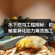 水下挖沟工程揭秘：机械差异化助力高效施工（图4）