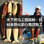 水下挖沟工程揭秘：机械差异化助力高效施工（图2）