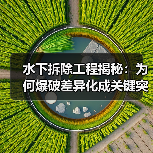 水下拆除工程揭秘：为何爆破差异化成关键突破点