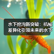 水下挖沟新突破：机械差异化引领未来的水下管沟施工（图3）