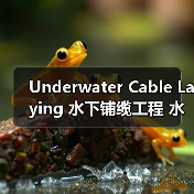 Underwater Cable Laying 水下铺缆工程 水下线缆施工 铺设差异化（图4）