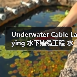 Underwater Cable Laying 水下铺缆工程 水下线缆施工 铺设差异化（图2）