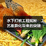 水下打桩工程揭秘：工艺差异化带来的突破（图2）