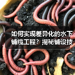 如何实现差异化的水下铺缆工程？揭秘铺设技巧与行业内幕