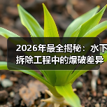 2026年最全揭秘：水下拆除工程中的爆破差异化与创新应用（图3）