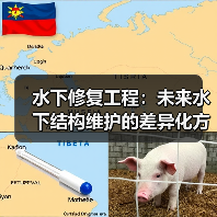 水下修复工程：未来水下结构维护的差异化方案揭秘（图3）