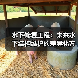 水下修复工程：未来水下结构维护的差异化方案揭秘（图4）