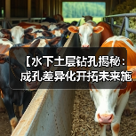【水下土层钻孔揭秘：成孔差异化开拓未来施工新纪元】（图4）
