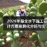 2026年最全水下施工设计方案差异化分析与实践指南（图2）