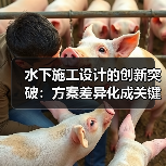 水下施工设计的创新突破：方案差异化成关键制胜法宝（图2）