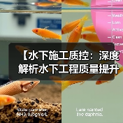 【水下施工质控：深度解析水下工程质量提升的秘密】（图4）
