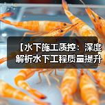【水下施工质控：深度解析水下工程质量提升的秘密】（图3）