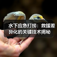 水下应急打捞：救援差异化的关键技术揭秘（图2）