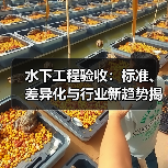 水下工程验收：标准、差异化与行业新趋势揭秘（图4）