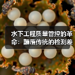 水下工程质量管控的革命：颠覆传统的检测差异化策略（图3）
