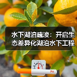 水下湖泊疏浚：开启生态差异化湖泊水下工程新时代