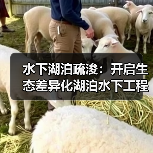 水下湖泊疏浚：开启生态差异化湖泊水下工程新时代（图4）