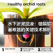 水下淤泥疏浚：破解软基难题的关键技术解析（图3）