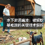 水下淤泥疏浚：破解软基难题的关键技术解析（图2）