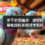 水下淤泥疏浚：破解软基难题的关键技术解析