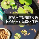 【揭秘水下砂石疏浚的核心秘密：差异化筛分技术全解析】（图4）