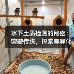 水下土质检测的秘密：突破传统，探索差异化技术新境界（图2）