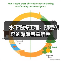 水下物探工程：颠覆传统的深海宝藏猎手（图4）