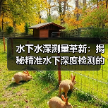 水下水深测量革新：揭秘精准水下深度检测的差异化优势（图3）