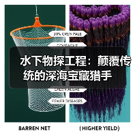 水下物探工程：颠覆传统的深海宝藏猎手（图2）