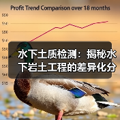 水下土质检测：揭秘水下岩土工程的差异化分析策略（图3）