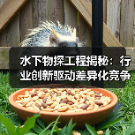 水下物探工程揭秘：行业创新驱动差异化竞争（图4）