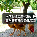 水下物探工程揭秘：行业创新驱动差异化竞争（图2）
