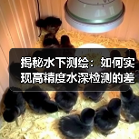 揭秘水下测绘:如何实现高精度水深检测的差异化优势(图1) 揭秘水下测绘:如何实现高精度水深检测的差异化优势(图1)