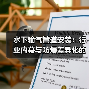 水下输气管道安装：行业内幕与防爆差异化的关键解析
