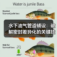 水下油气管道铺设：破解密封差异化的关键技术与行业秘密（图3）