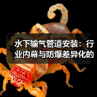 水下输气管道安装：行业内幕与防爆差异化的关键解析（图3）