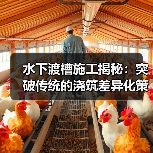 水下渡槽施工揭秘：突破传统的浇筑差异化策略（图2）