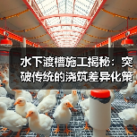 水下渡槽施工揭秘：突破传统的浇筑差异化策略（图4）