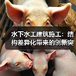 水下水工建筑施工：结构差异化带来的创新突破