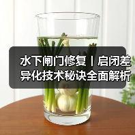 水下闸门修复丨启闭差异化技术秘诀全面解析（图2）