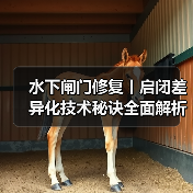 水下闸门修复丨启闭差异化技术秘诀全面解析（图3）