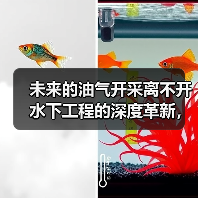 未来的油气开采离不开水下工程的深度革新，尤其是在水下输油管道铺设领域。你是否曾想象一段铺设过程中