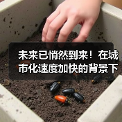 未来已悄然到来！在城市化速度加快的背景下，水下工程成为不可忽视的关键环节。你是否曾思考，建造一个水下渡槽工程究竟隐含多少技术秘密？尤其是在2026年的最新趋势下（图4）