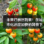 未来已悄然到来！在城市化速度加快的背景下，水下工程成为不可忽视的关键环节。你是否曾思考，建造一个