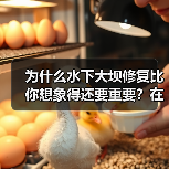 为什么水下大坝修复比你想象得还要重要？在2026年，全球范围内超过70%的水利水下工程都面临不同程度的腐蚀与损坏。尤其是在极端天气频发、海水腐蚀加剧的背景下，水（图4）