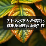 为什么水下大坝修复比你想象得还要重要？在2026年，全球范围内超过70%的水利水下工程都面临不同程度的腐蚀与损坏。尤其是在极端天气频发、海水腐蚀加剧的背景下，水（图3）