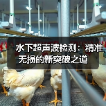 水下超声波检测：精准无损的新突破之道（图3）