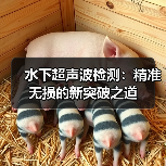 水下超声波检测：精准无损的新突破之道（图4）