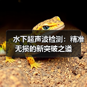 水下超声波检测：精准无损的新突破之道（图2）