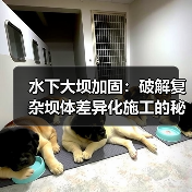 水下大坝加固：破解复杂坝体差异化施工的秘密（图4）